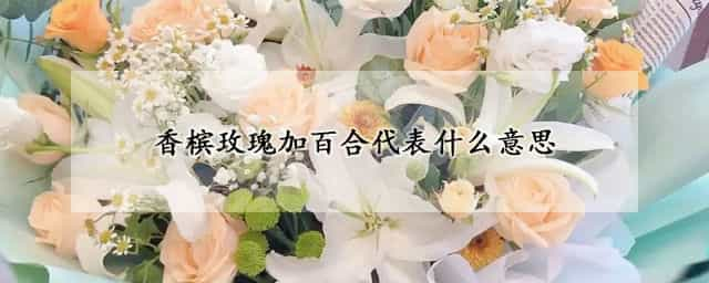 香槟玫瑰加百合代表什么意思